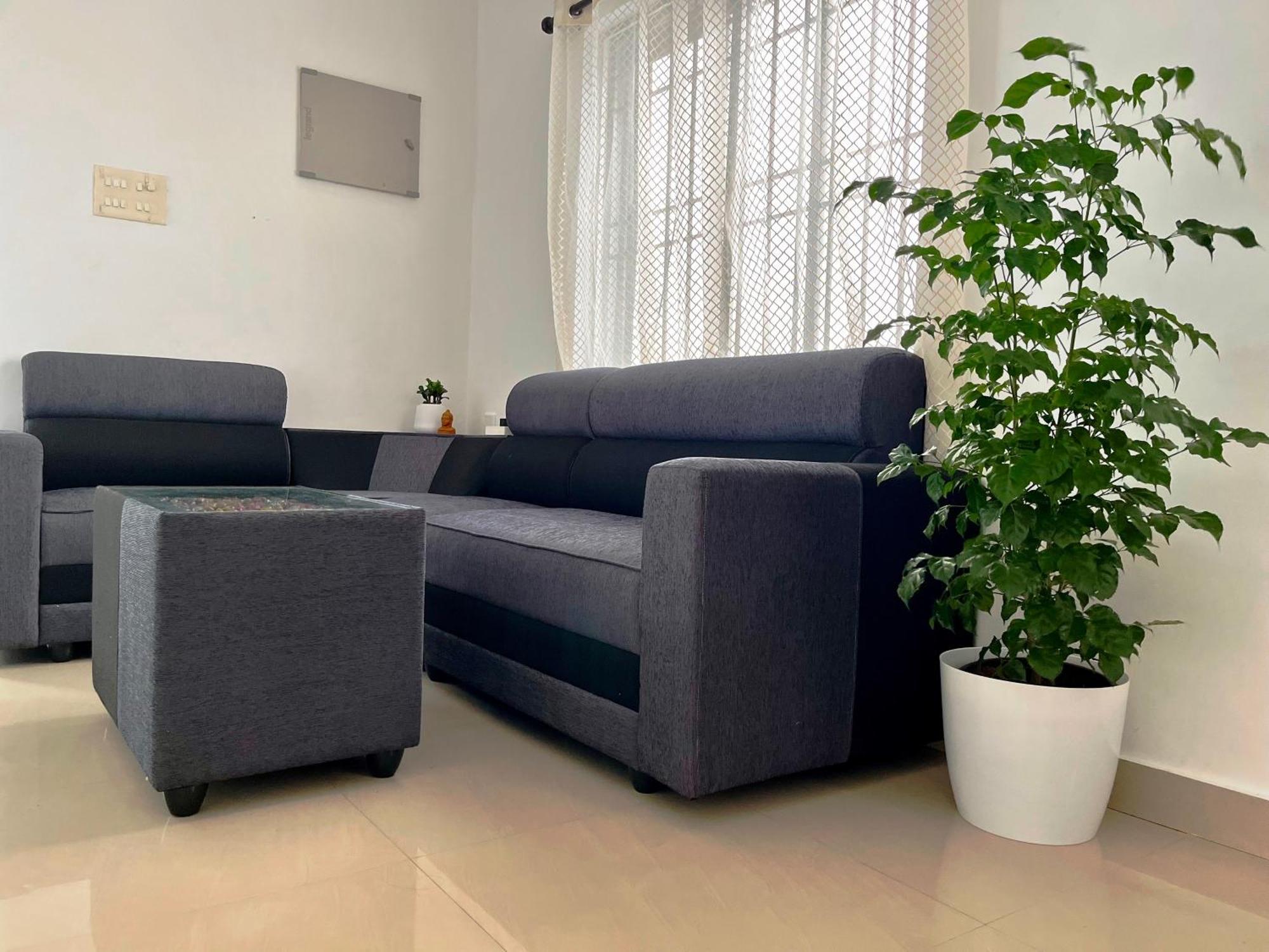 Segundo Home Kochi Luaran gambar